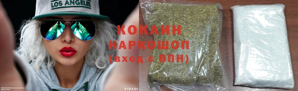 СК Алексин