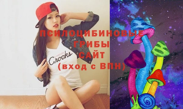 крисы Алзамай