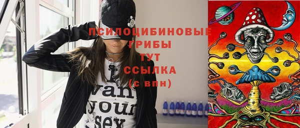 крисы Алзамай