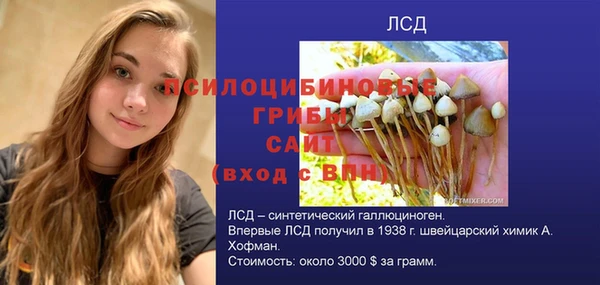 гашиш Абаза