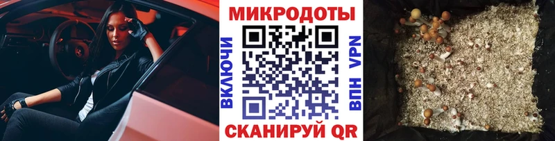 где купить наркоту  Дрезна  Галлюциногенные грибы Magic Shrooms 